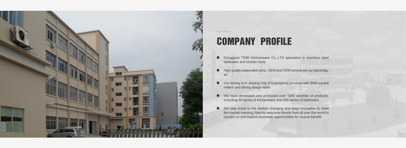 dongguan temi kitchenware co., ltd